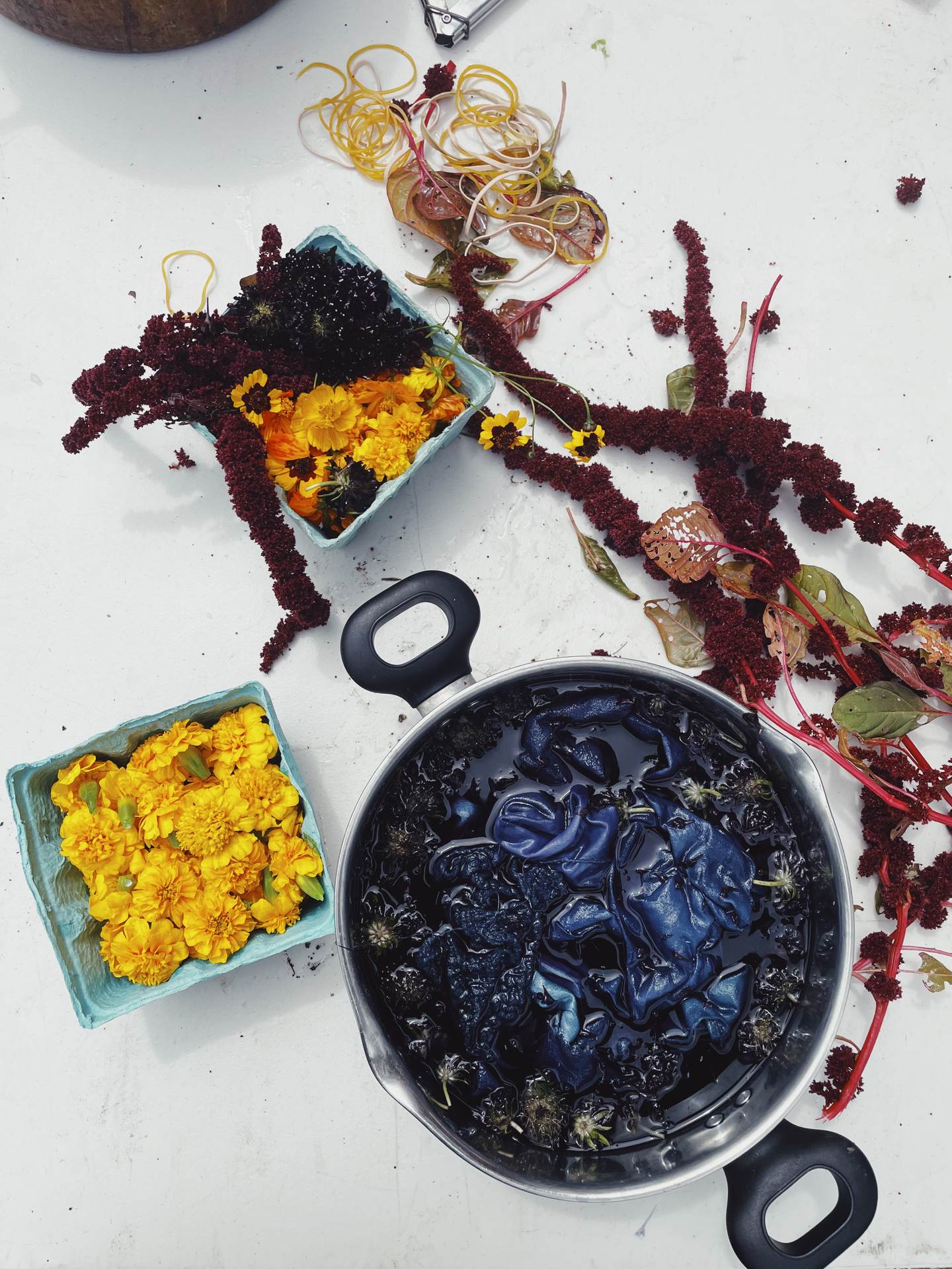Workshops & Online Classes