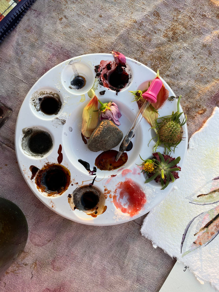 Painting with Petals & Ph Modifiers, An Illustrative Painting with Natural Dyes Class- April 14th