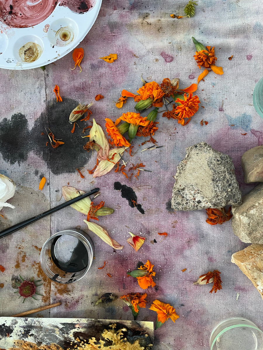 Painting with Petals & Ph Modifiers, An Illustrative Painting with Natural Dyes Class- April 14th