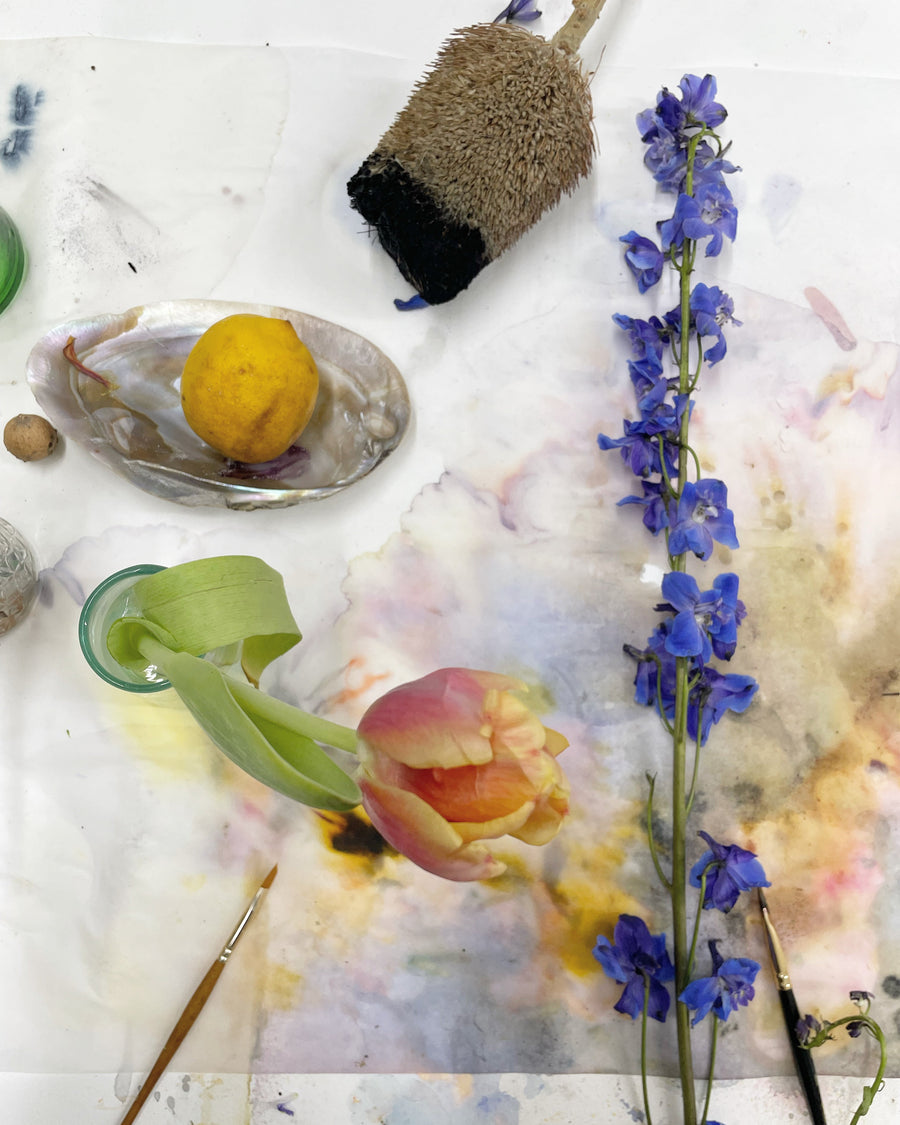 Painting with Petals & Ph Modifiers On Silk & Paper