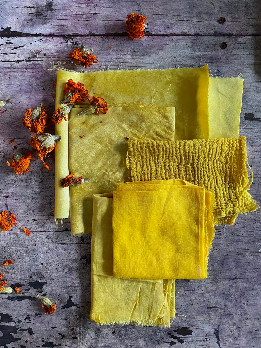 Organic & Locally Grown Marigold Dye Flowers