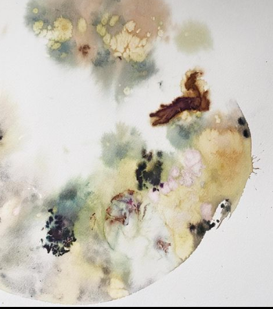 Painting on Paper with Natural Dyes - pH Modifiers & mordants - RECORDING